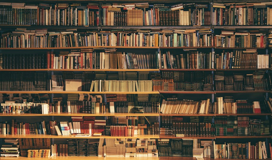Bookshelves in a quiet library